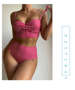 Bikini Swimsuit Female Sexy Plaid Split High Waist